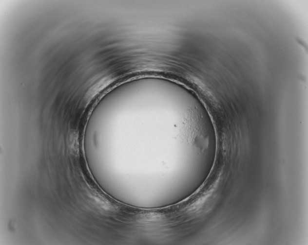 X0000095901113200801251218