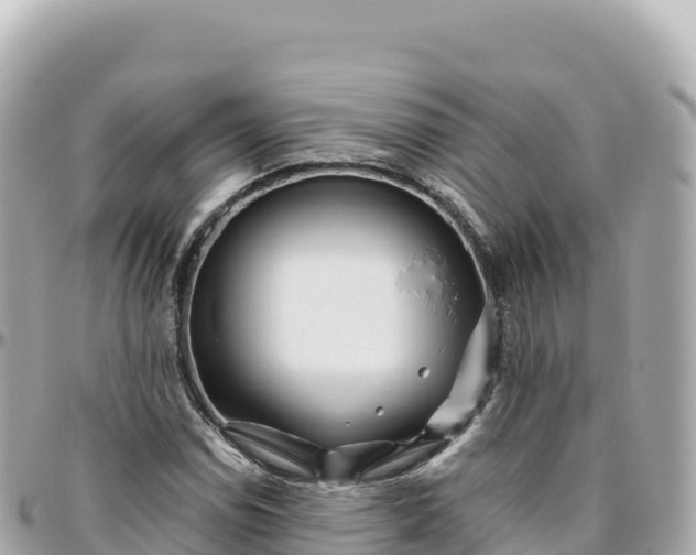 X0000095901114200801251218