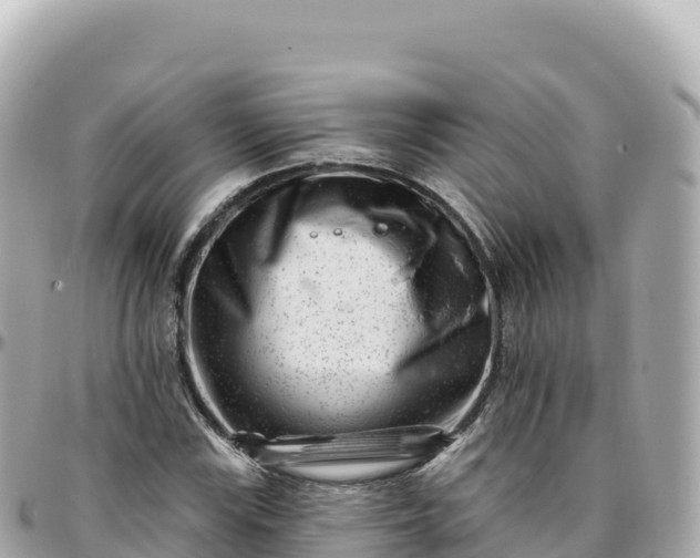 X0000095901115200801251218