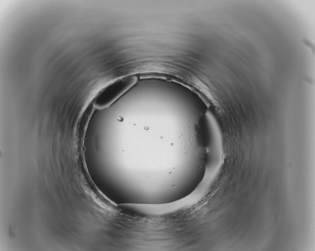 X0000095901116200801251218