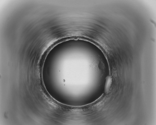 X0000095901118200801251218