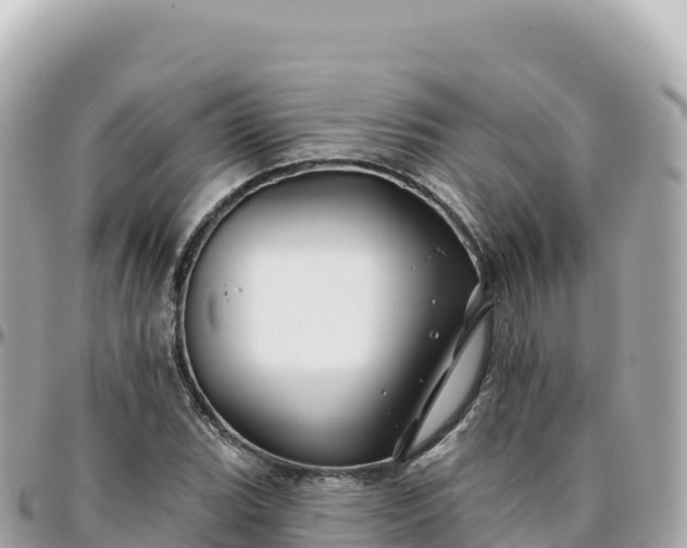 X0000095901119200801251218