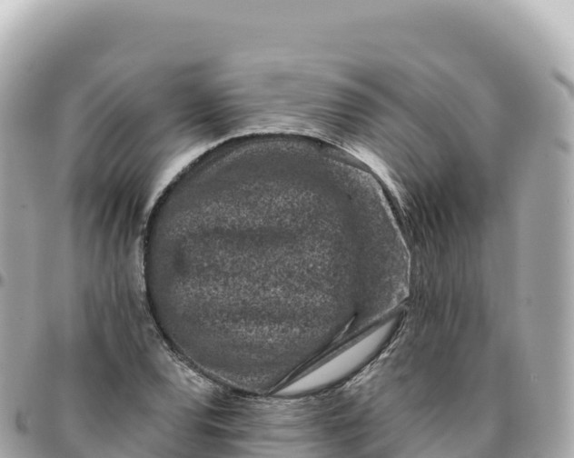 X0000095901120200801251218