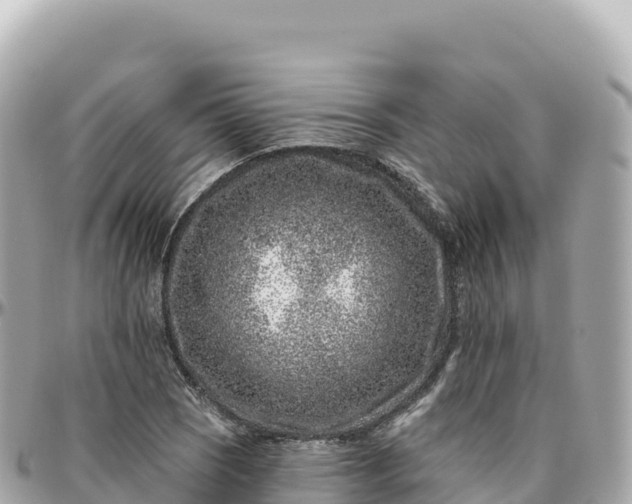 X0000095901121200801251218