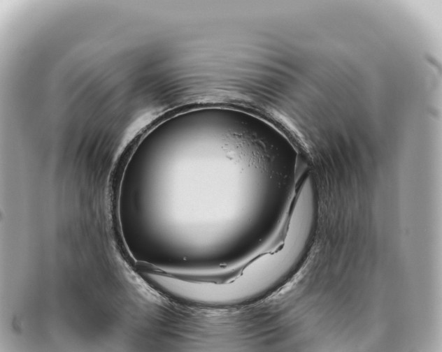 X0000095901122200801251218