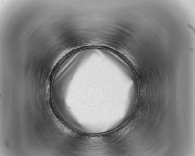 X0000095901126200801251218