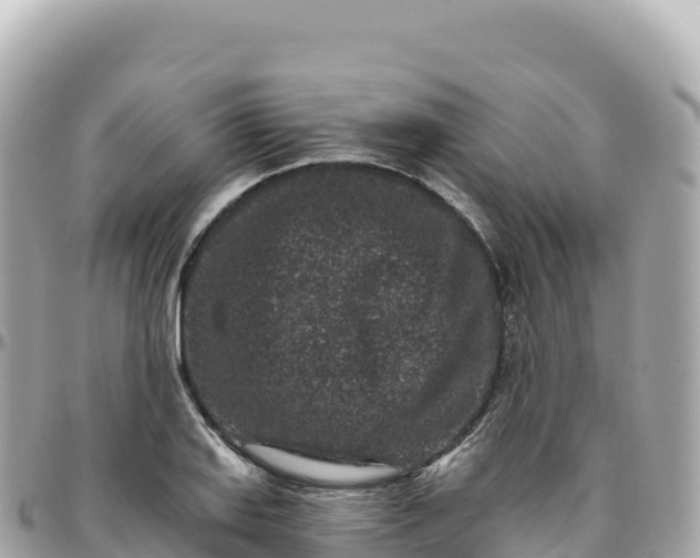 X0000095901127200801251218