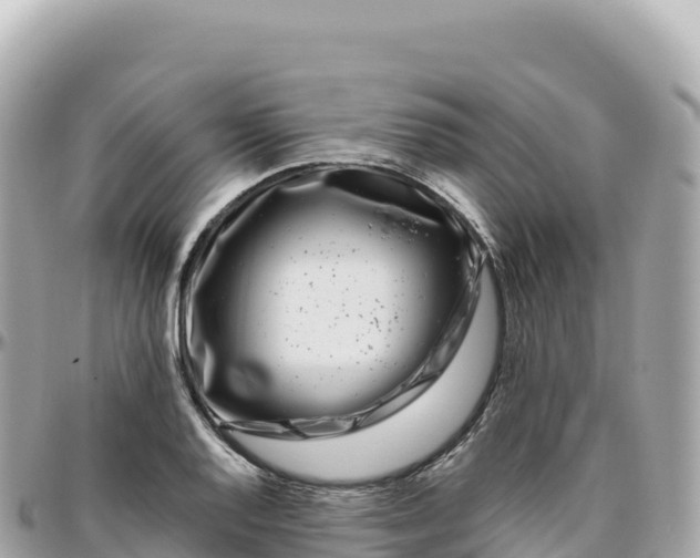 X0000095901128200801251218