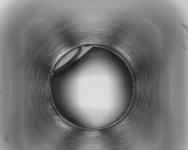 X0000095901129200801251218