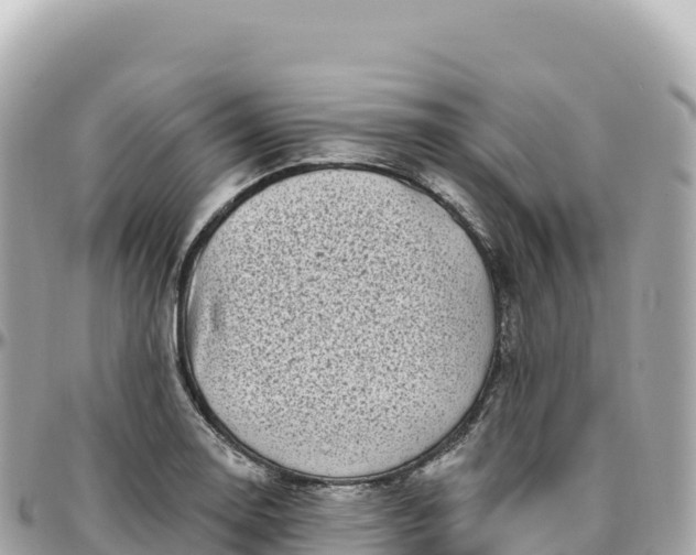 X0000095901130200801251218