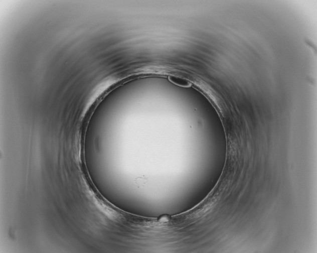 X0000095901131200801251218