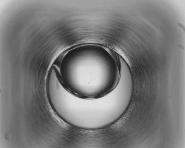 X0000095901132200801251219