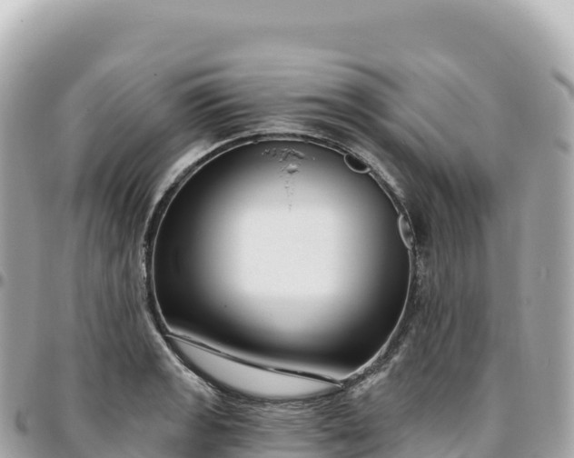 X0000095901133200801251219