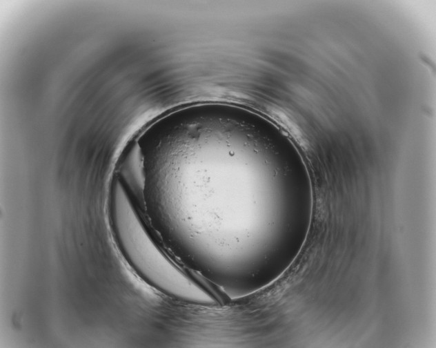 X0000095901136200801251219