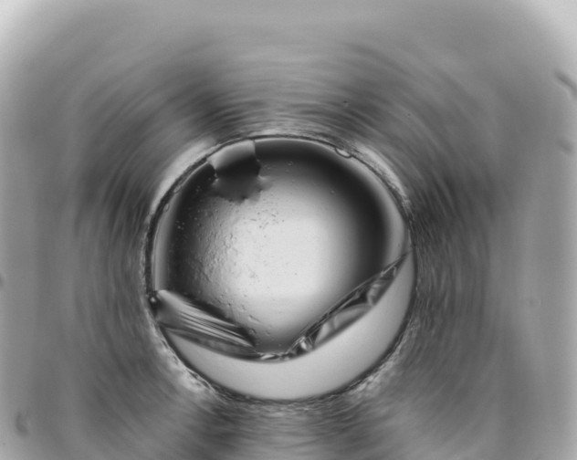 X0000095901138200801251219