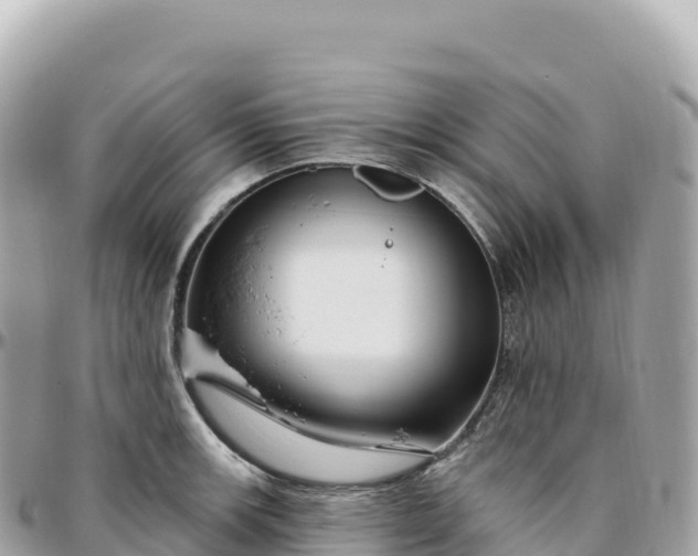 X0000095901139200801251219