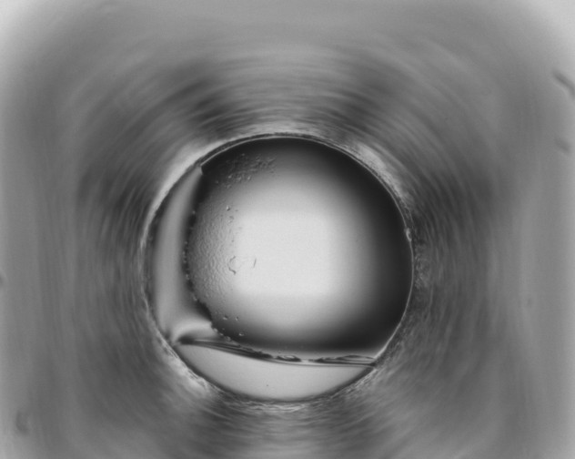 X0000095901140200801251219