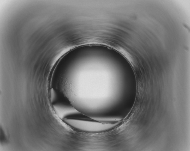 X0000095901142200801251219