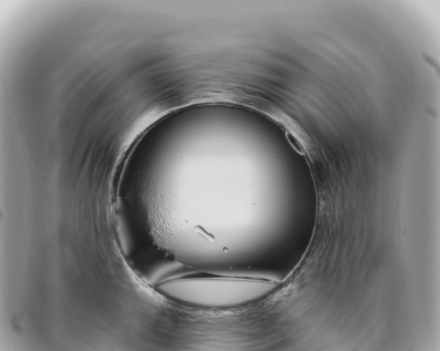 X0000095901143200801251219