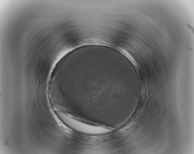 X0000095901144200801251219