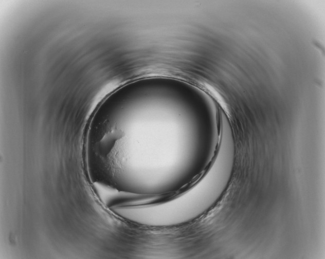 X0000095901146200801251219