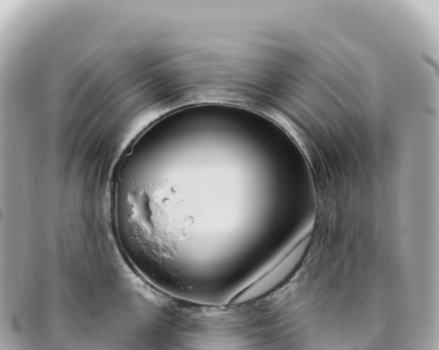 X0000095901147200801251219