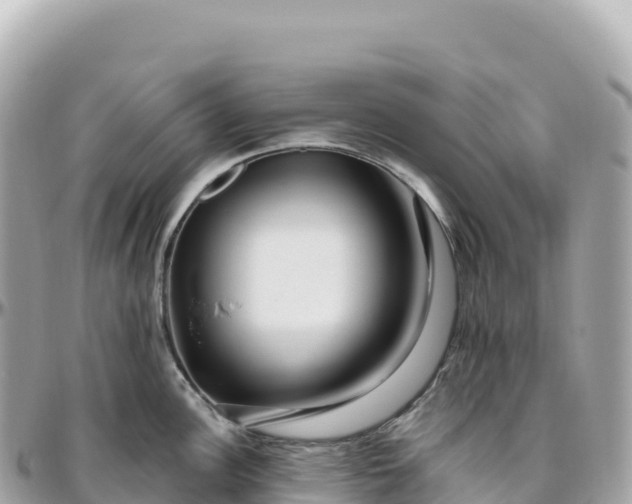 X0000095901148200801251219