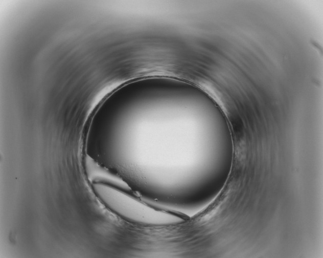 X0000095901149200801251219