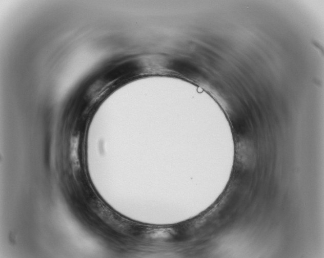 X0000095901150200801251219