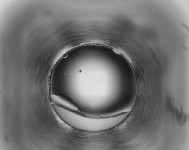 X0000095901151200801251219