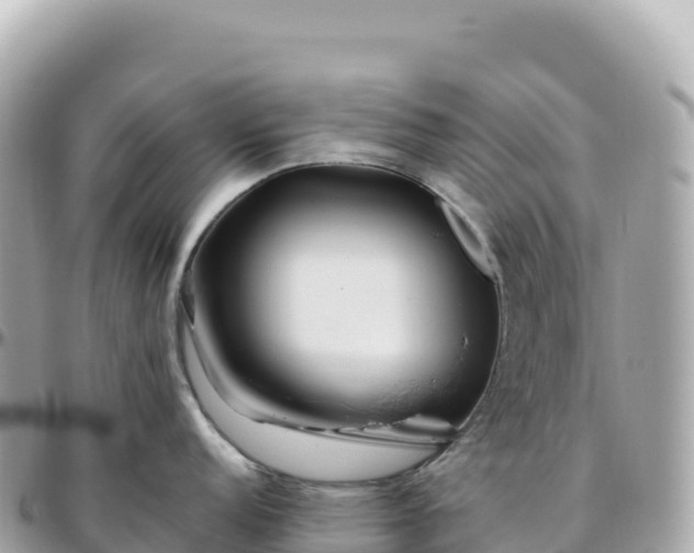 X0000095901152200801251219