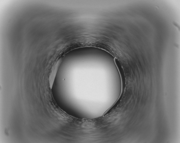 X0000095901153200801251218