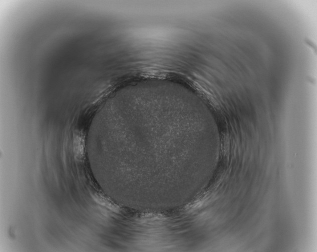 X0000095901154200801251218