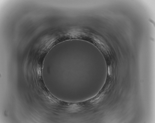 X0000095901155200801251218