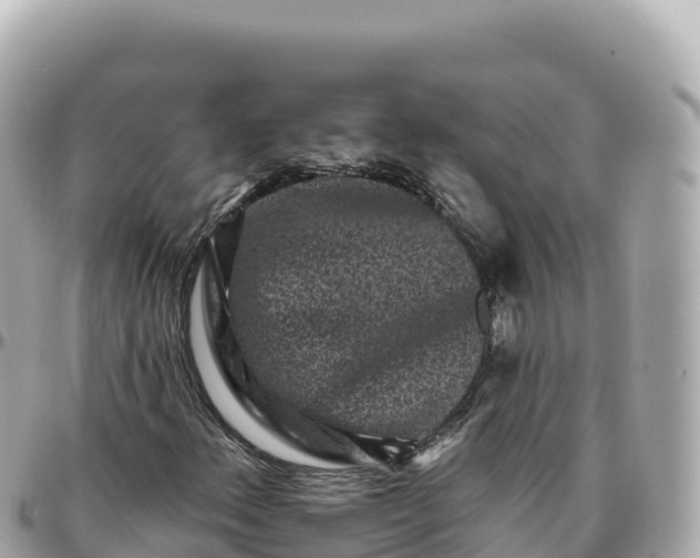 X0000095901156200801251218