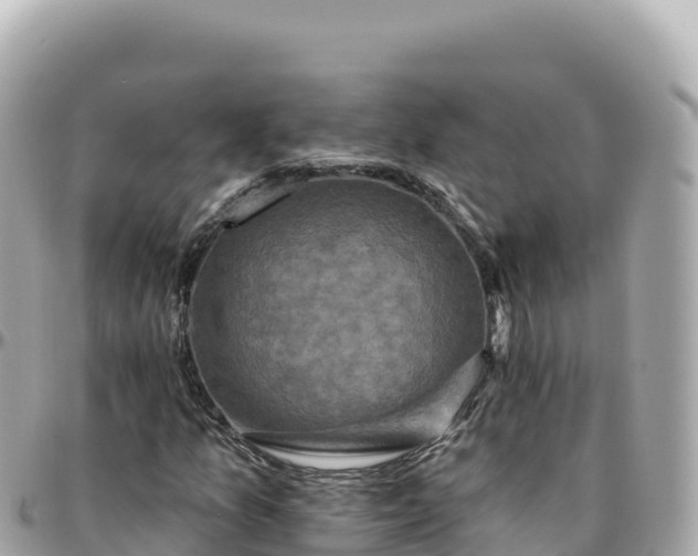 X0000095901157200801251218