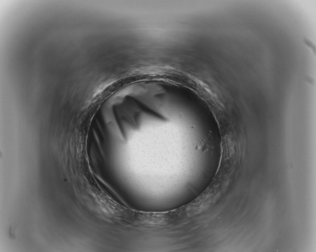 X0000095901158200801251218