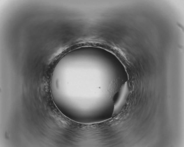 X0000095901159200801251218