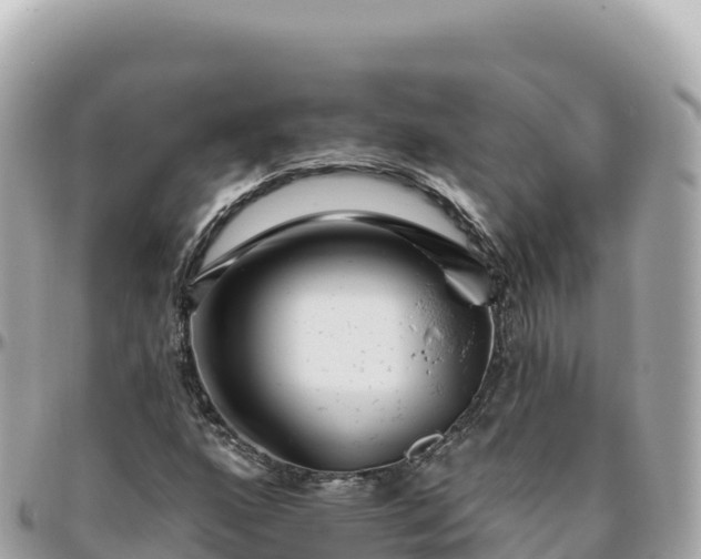 X0000095901160200801251218