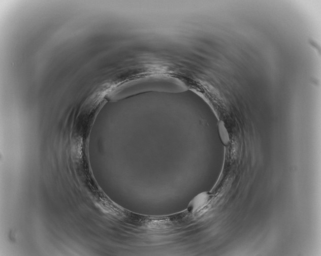 X0000095901161200801251218