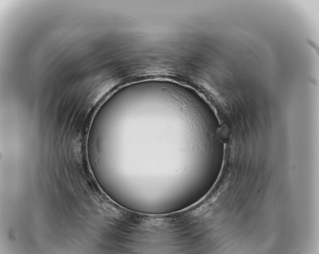 X0000095901162200801251218