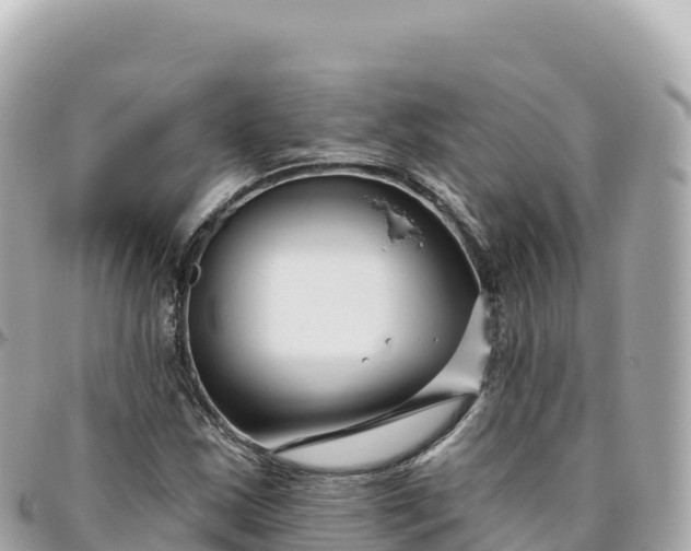 X0000095901163200801251218