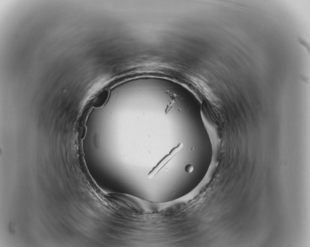 X0000095901164200801251218