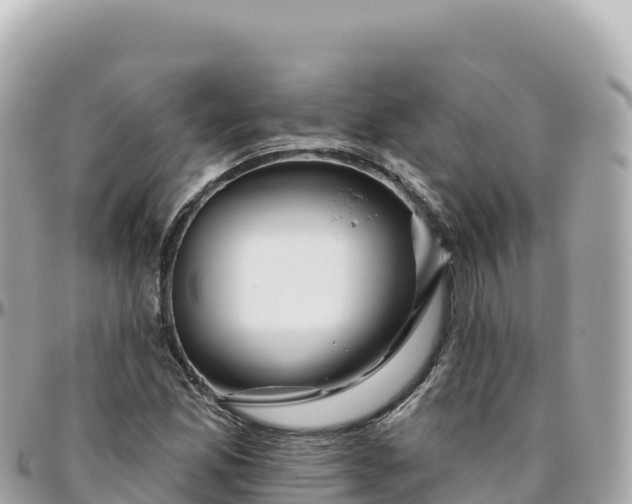 X0000095901165200801251218