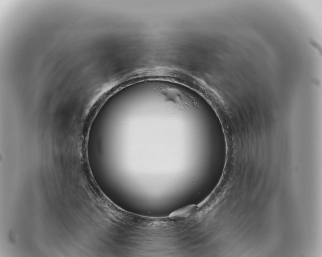 X0000095901166200801251218