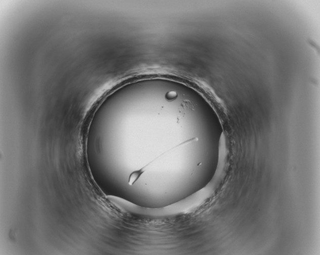 X0000095901167200801251218