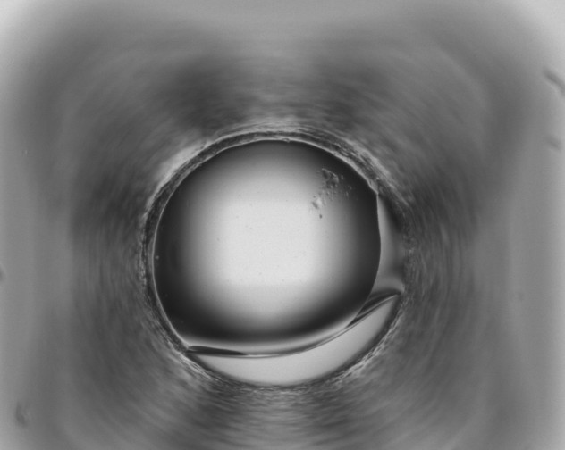 X0000095901168200801251218