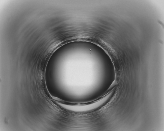 X0000095901169200801251218