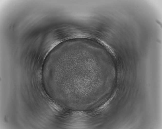 X0000095901170200801251218