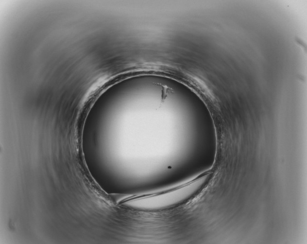 X0000095901172200801251218